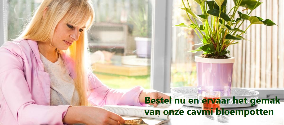 header_02_met_tekst